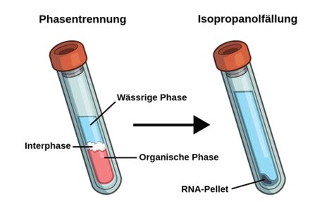 eppendorf tube chloroform solution